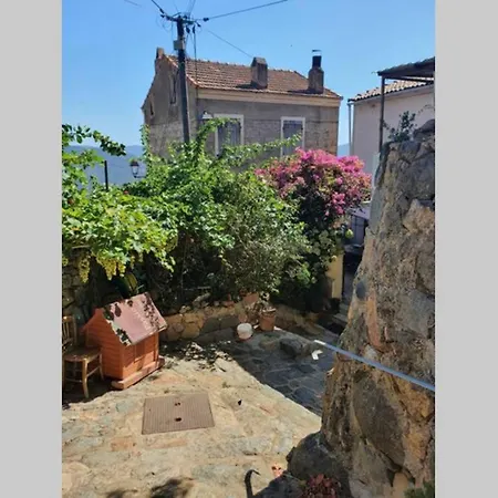 Olmeto Vue Mer Holiday home