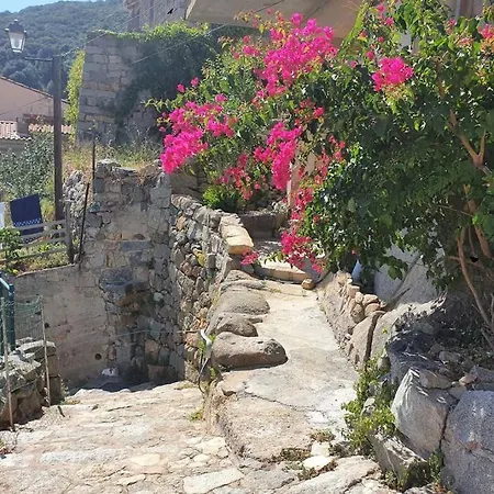 Olmeto Vue Mer Holiday home
