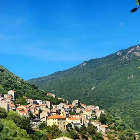 Holiday home Olmeto Vue Mer